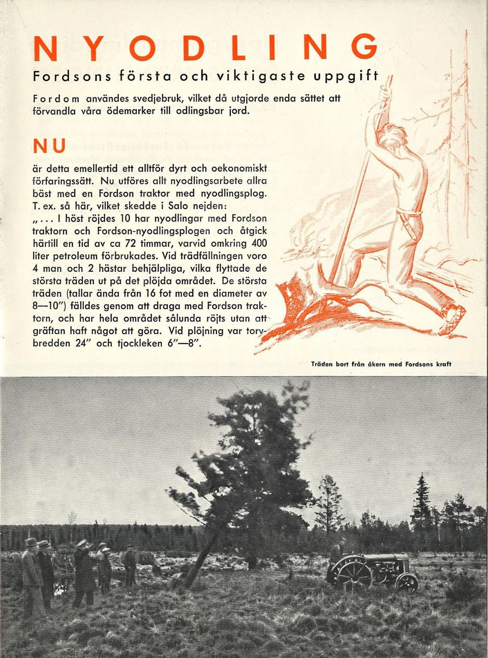 så här, vilket skedde i Salo nejden:.