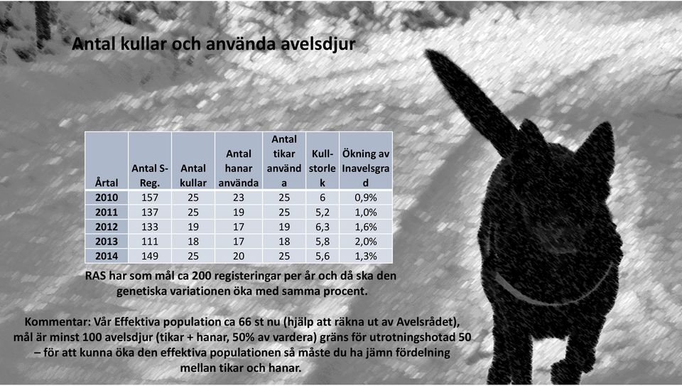 som mål ca registeringar per år och då ska den genetiska variationen öka med samma procent.