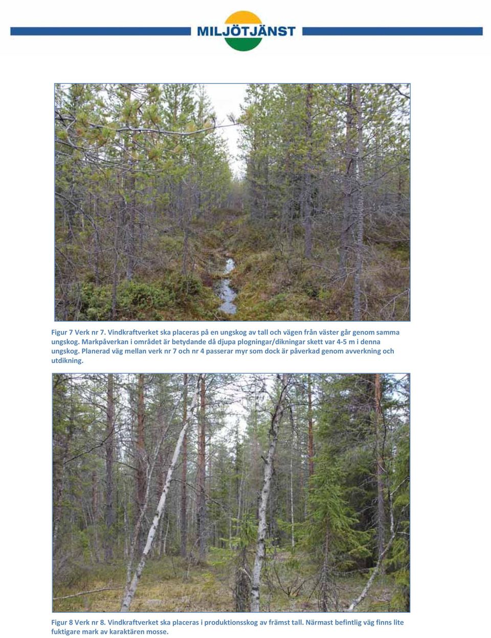 Planerad väg mellan verk nr 7 och nr 4 passerar myr som dock är påverkad genom avverkning och utdikning.