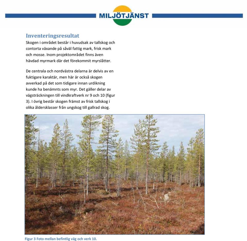 De centrala och nordvästra delarna är delvis av en fuktigare karaktär, men här är också skogen avverkad på det som tidigare innan urdikning kunde ha