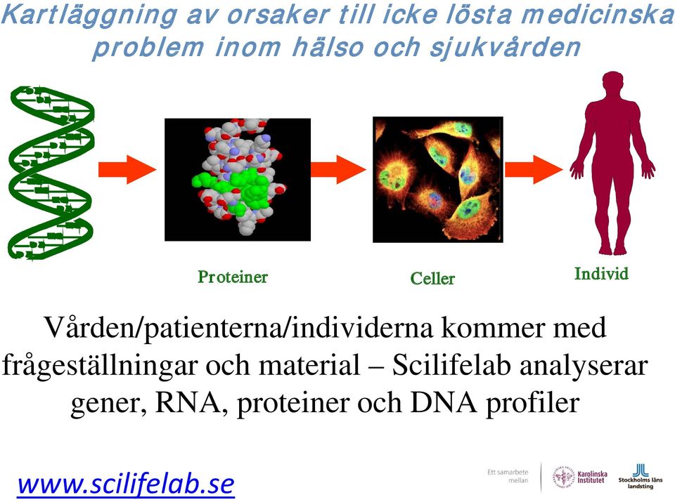 inom hälso och sjukvården Proteiner Celler Individ