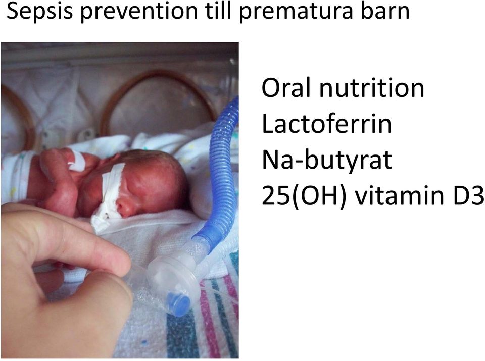 nutrition Lactoferrin