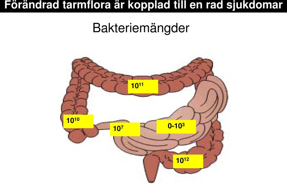 sjukdomar