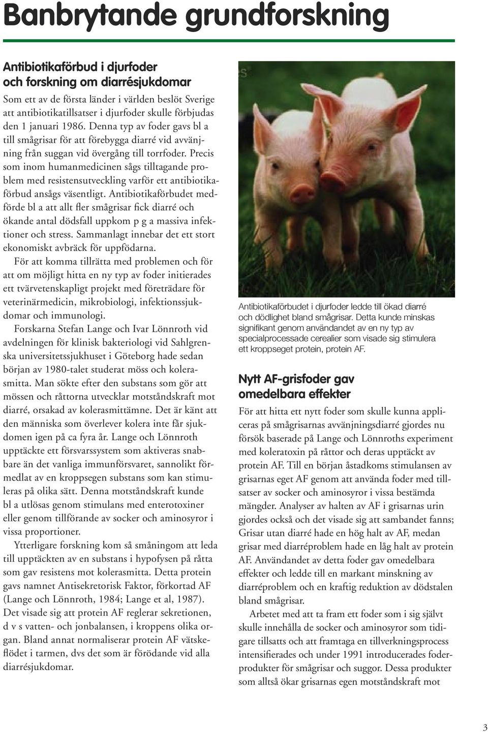 Precis som inom humanmedicinen sågs tilltagande problem med resistensutveckling varför ett antibiotikaförbud ansågs väsentligt.