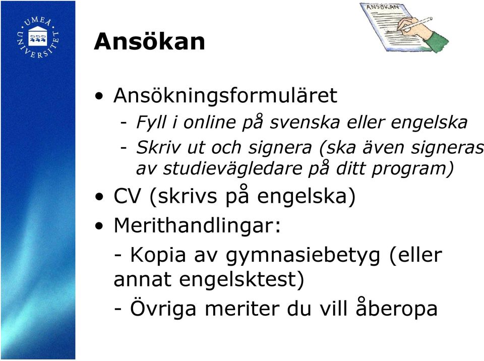 studievägledare på ditt program) CV (skrivs på engelska)