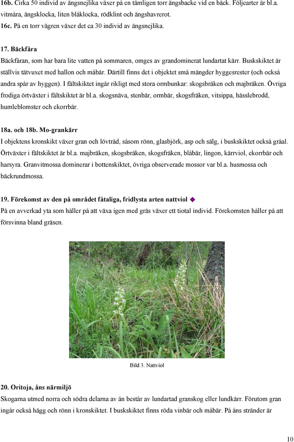 Buskskiktet är ställvis tätvuxet med hallon och måbär. Därtill finns det i objektet små mängder hyggesrester (och också andra spår av hyggen).