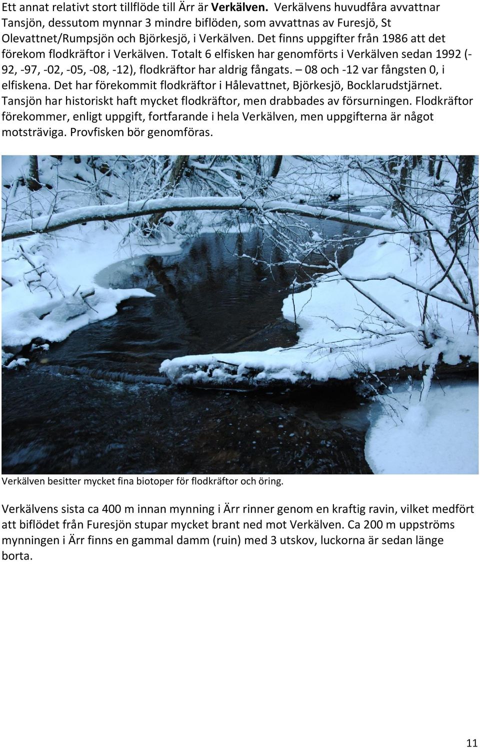Det finns uppgifter från 1986 att det förekom flodkräftor i Verkälven. Totalt 6 elfisken har genomförts i Verkälven sedan 1992 (- 92, -97, -02, -05, -08, -12), flodkräftor har aldrig fångats.