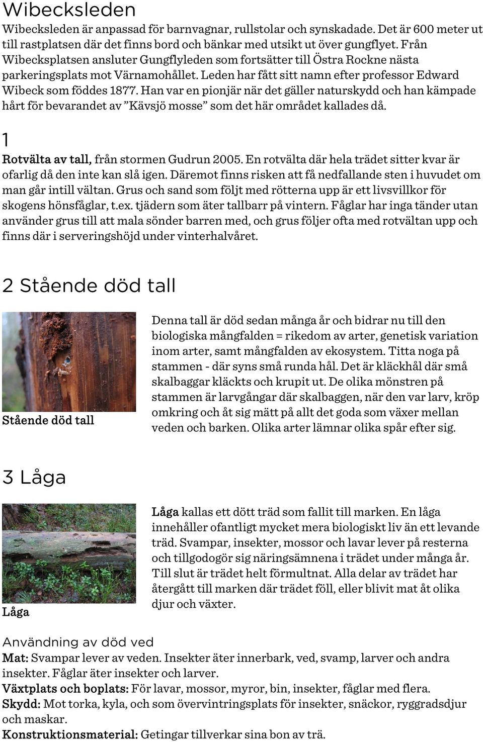 Han var en pionjär när det gäller naturskydd och han kämpade hårt för bevarandet av Kävsjö mosse som det här området kallades då. 1 Rotvälta av tall, från stormen Gudrun 2005.