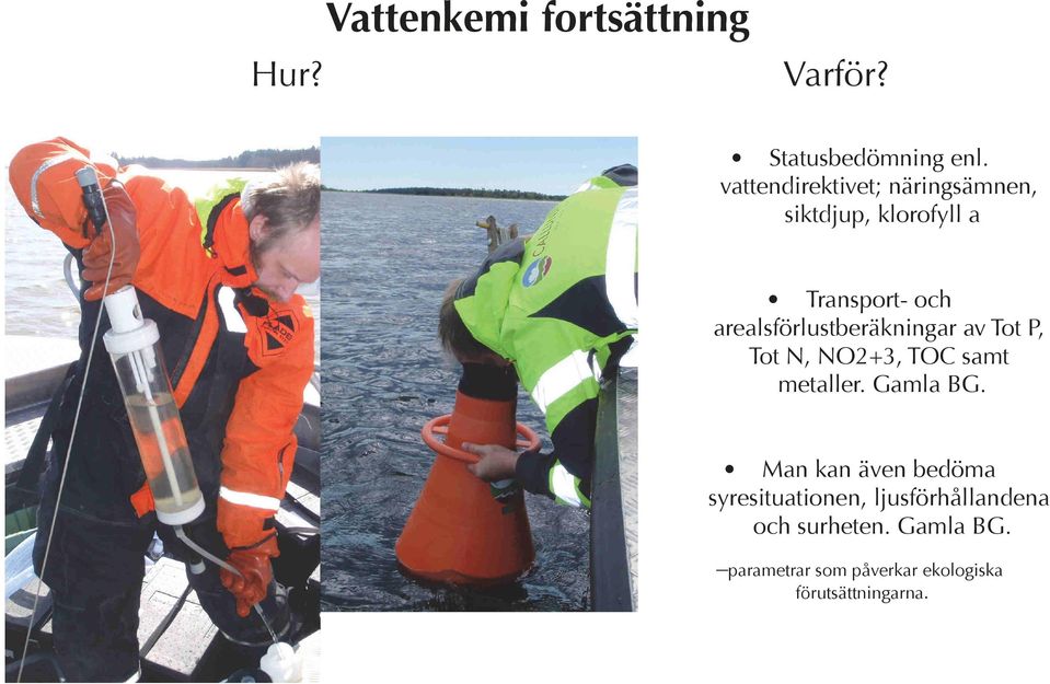 arealsförlustberäkningar av Tot P, Tot N, NO2+3, TOC samt metaller. Gamla BG.