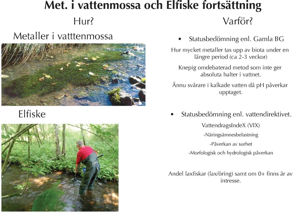 absoluta halter i vattnet. Ännu svårare i kalkade vatten då ph påverkar upptaget. Elfiske Statusbedömning enl. vattendirektivet.