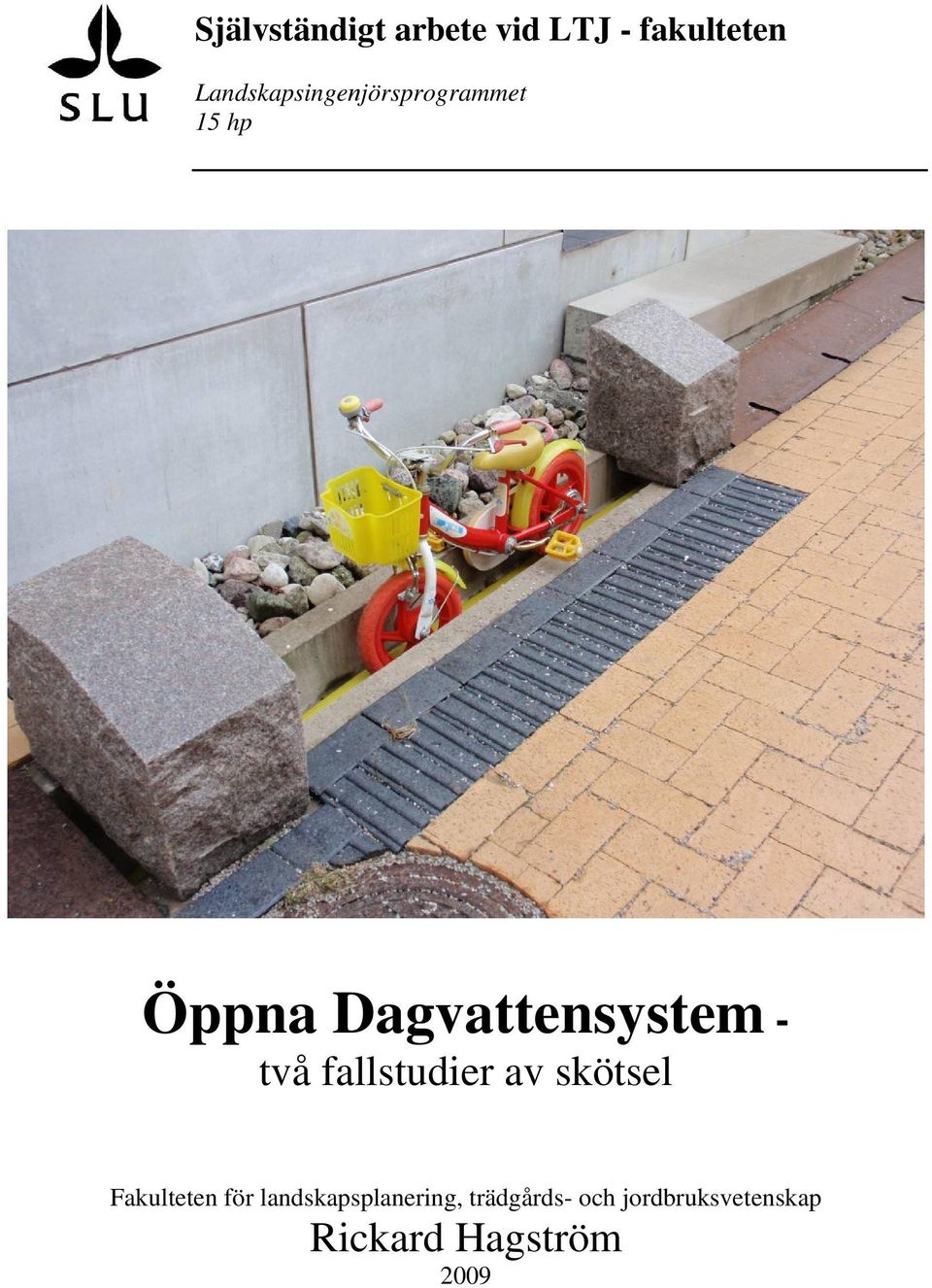 Dagvattensystem - två fallstudier av skötsel