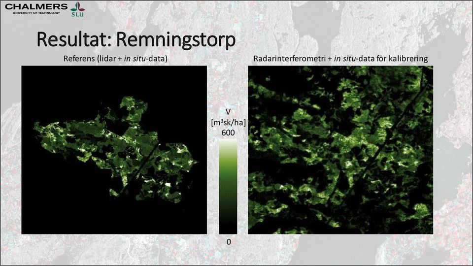 situ-data) Radarinterferometri