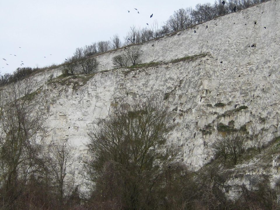 Côte des Blancs I