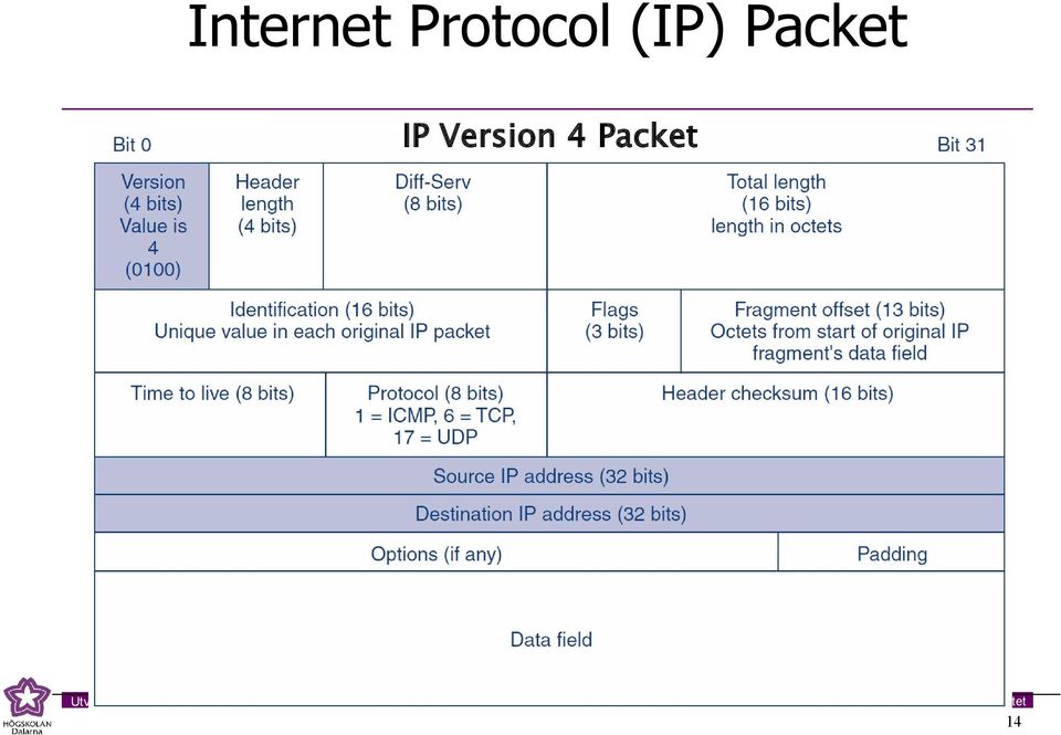 (IP) Packet