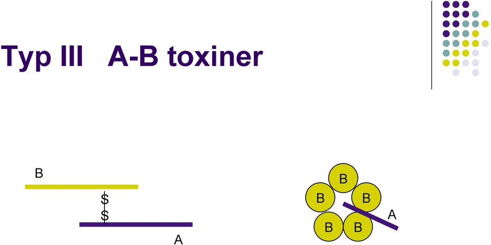 toxiner B
