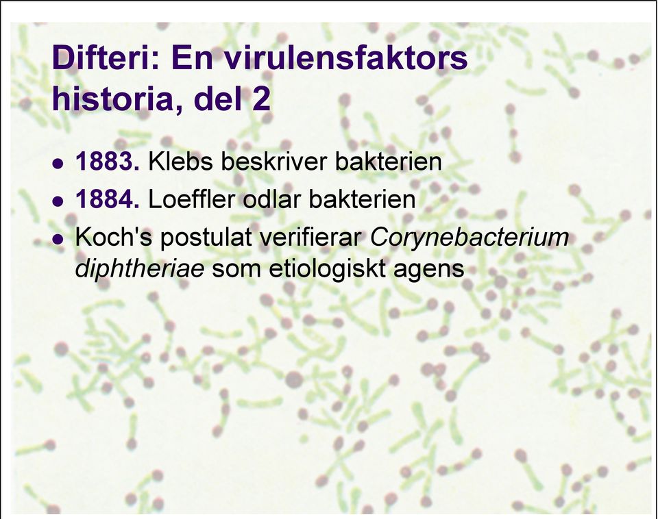 Loeffler odlar bakterien!