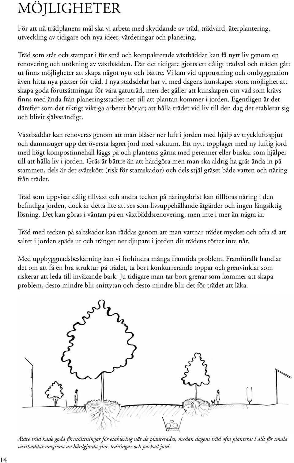 Där det tidigare gjorts ett dåligt trädval och träden gått ut finns möjligheter att skapa något nytt och bättre. Vi kan vid upprustning och ombyggnation även hitta nya platser för träd.