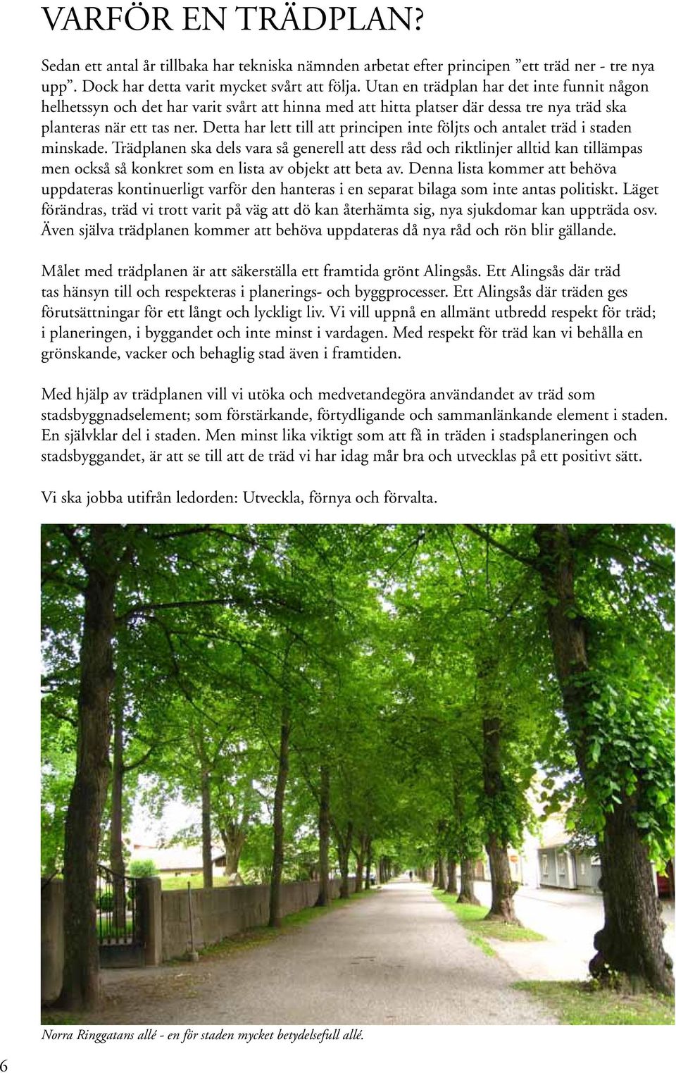 Detta har lett till att principen inte följts och antalet träd i staden minskade.