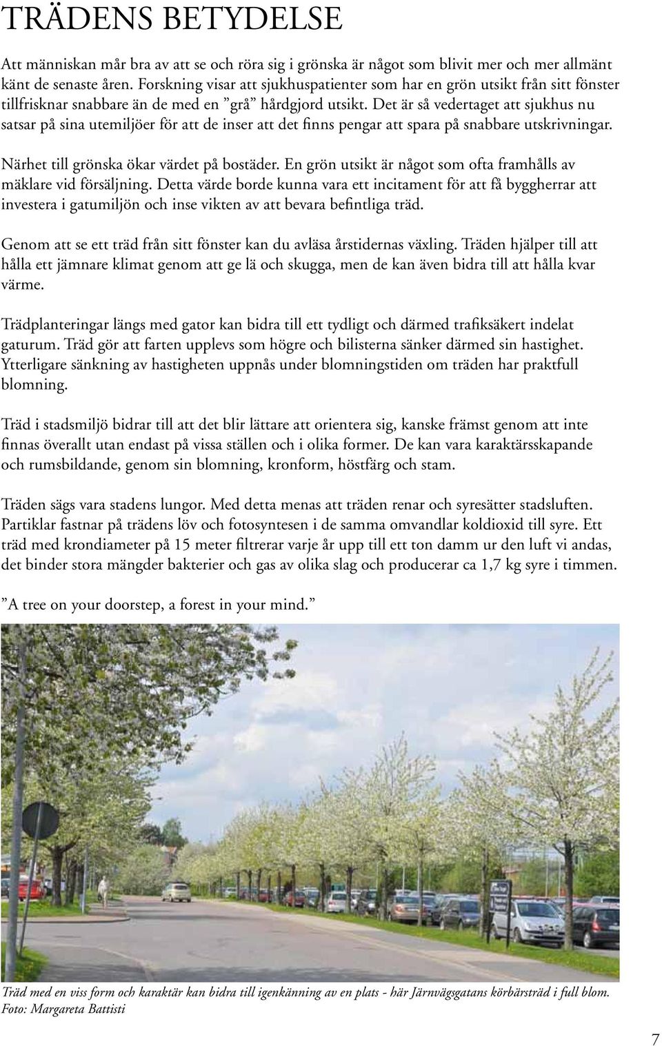 Det är så vedertaget att sjukhus nu satsar på sina utemiljöer för att de inser att det finns pengar att spara på snabbare utskrivningar. Närhet till grönska ökar värdet på bostäder.
