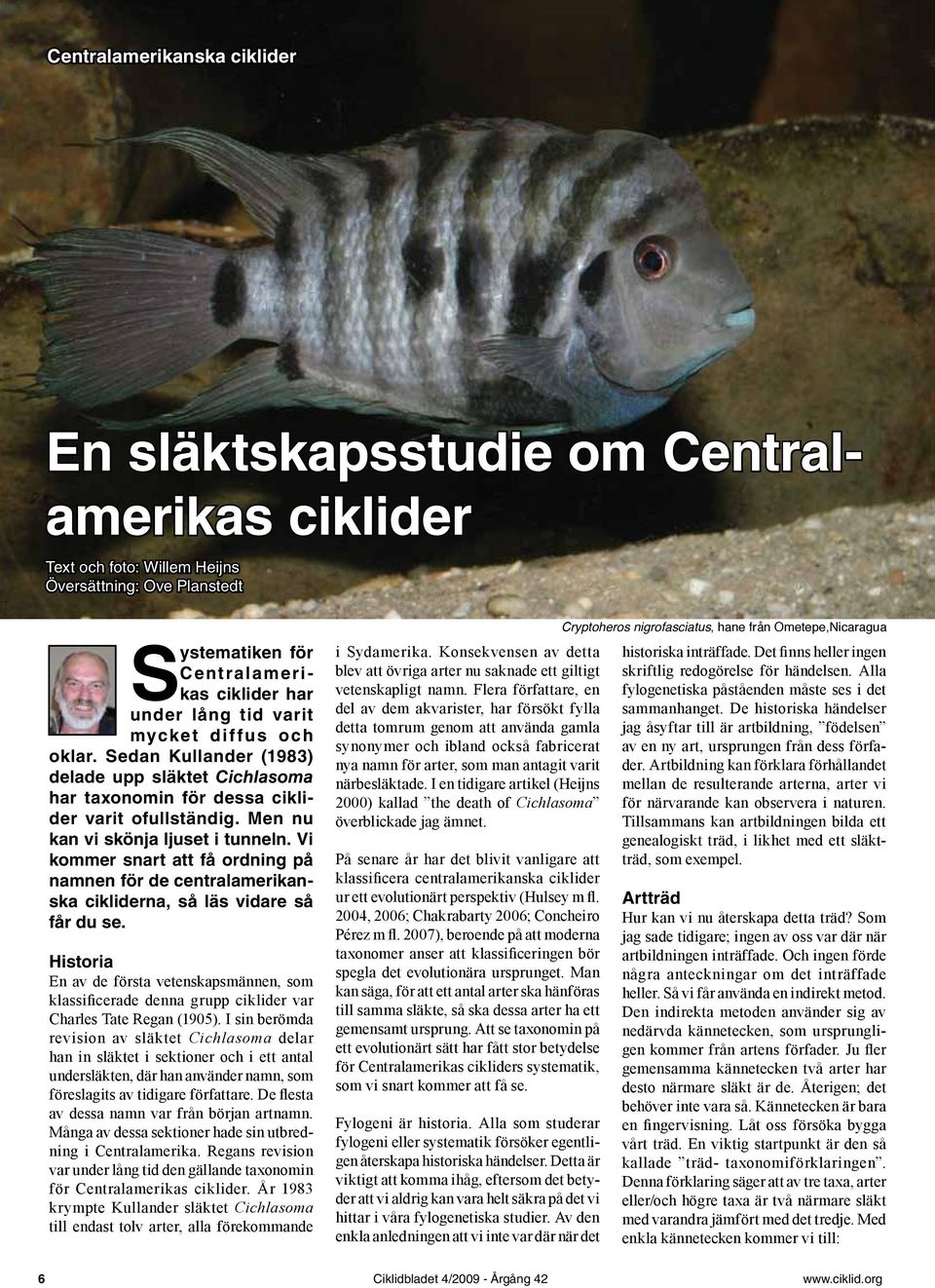 Vi kommer snart att få ordning på namnen för de centralamerikanska cikliderna, så läs vidare så får du se.