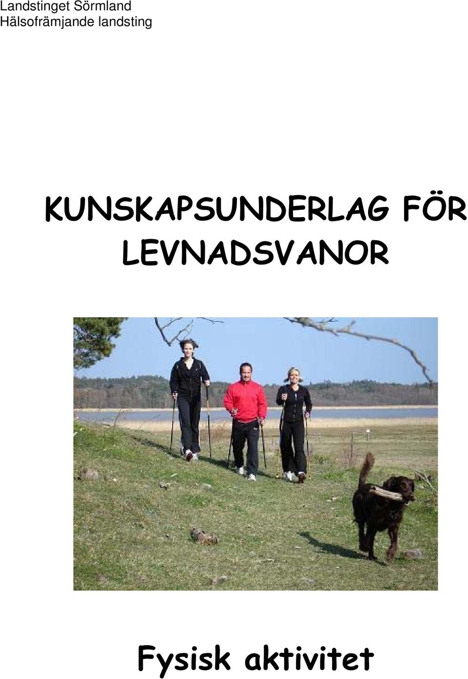 landsting