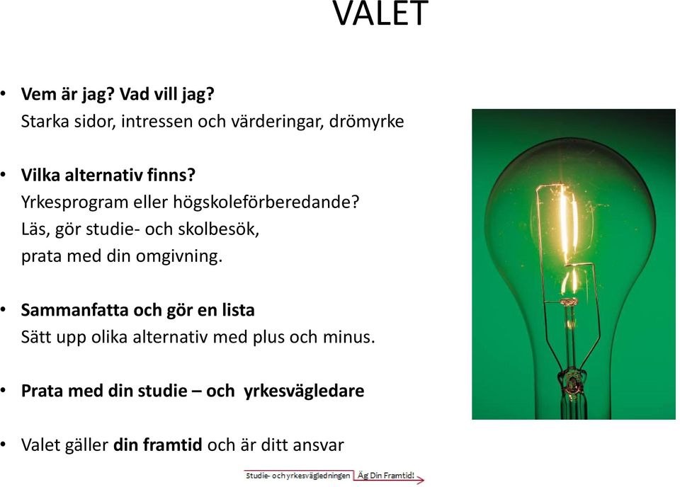 Yrkesprogram eller högskoleförberedande?