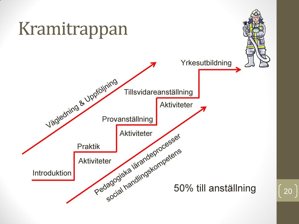 Provanställning Aktiviteter Praktik