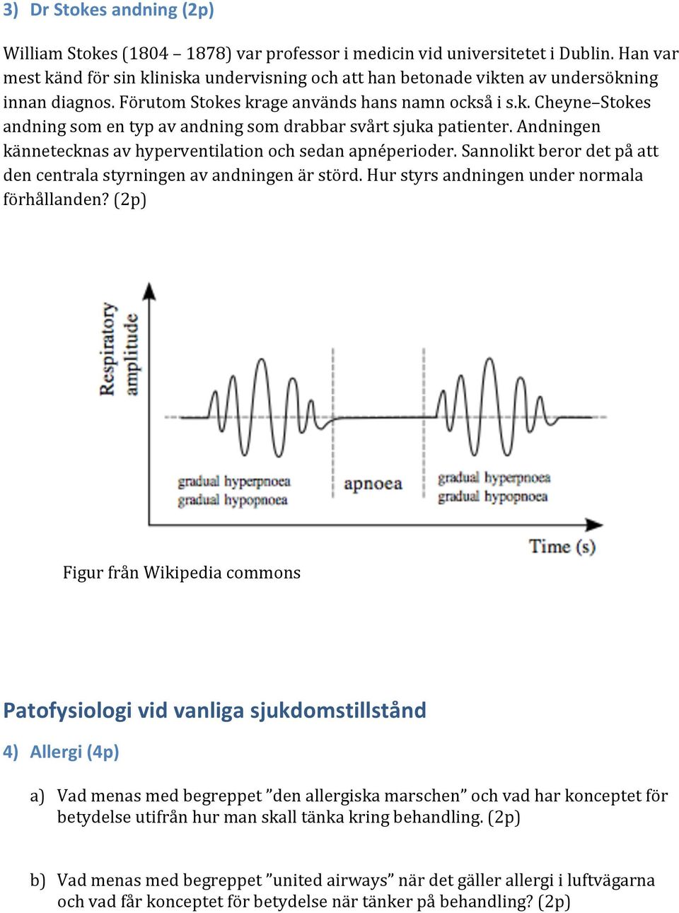 Andningen kännetecknas av hyperventilation och sedan apnéperioder. Sannolikt beror det på att den centrala styrningen av andningen är störd. Hur styrs andningen under normala förhållanden?