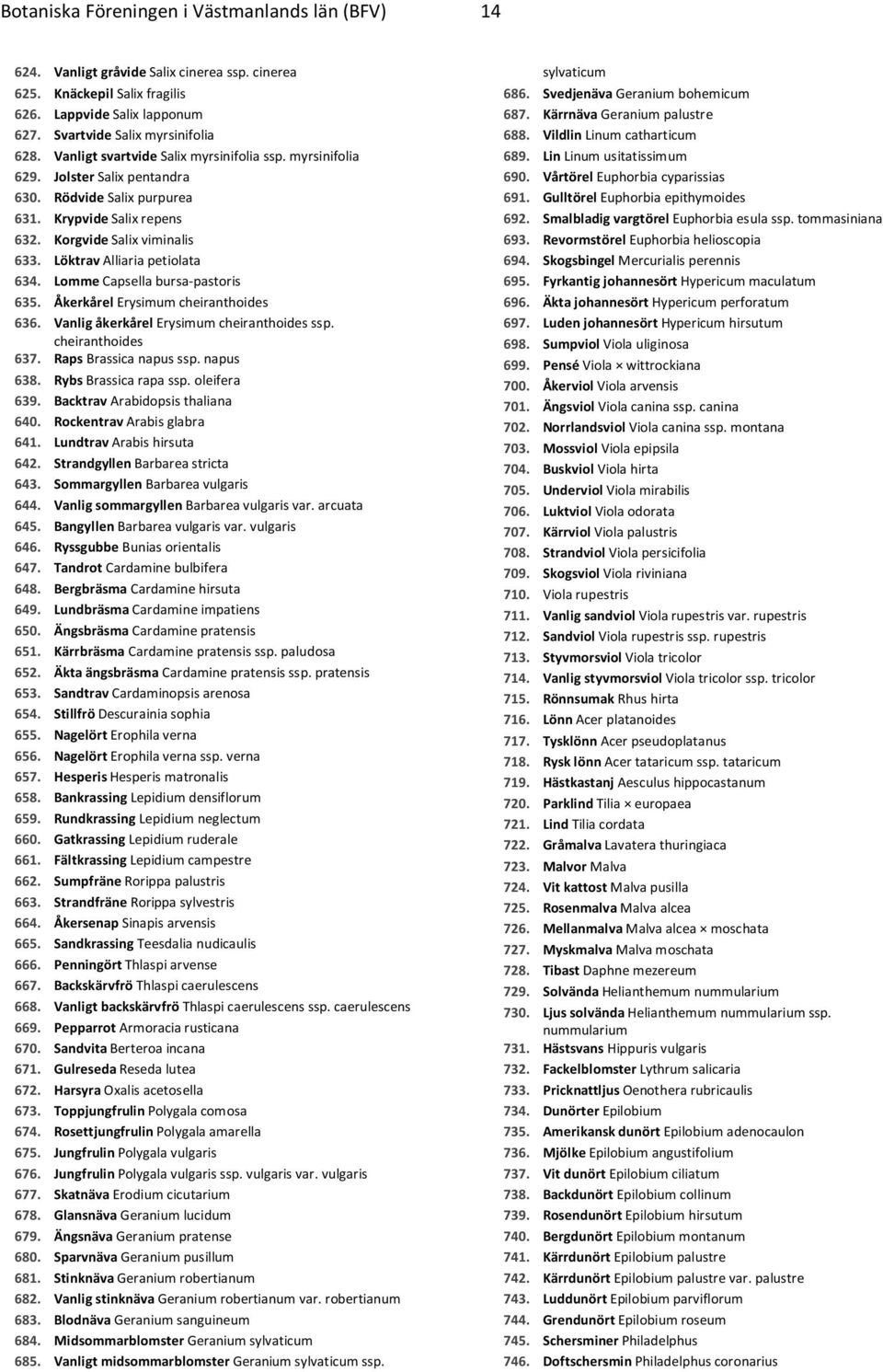 Löktrav Alliaria petiolata 634. Lomme Capsella bursa-pastoris 635. Åkerkårel Erysimum cheiranthoides 636. Vanlig åkerkårel Erysimum cheiranthoides ssp. cheiranthoides 637. Raps Brassica napus ssp.