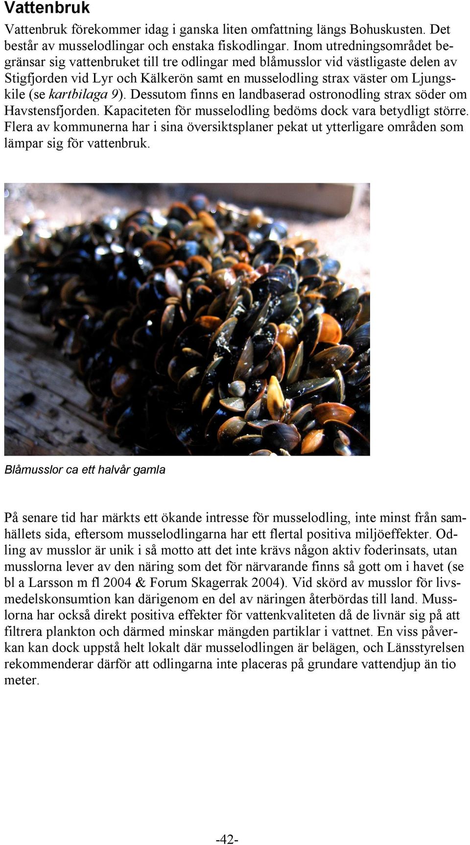 kartbilaga 9). Dessutom finns en landbaserad ostronodling strax söder om Havstensfjorden. Kapaciteten för musselodling bedöms dock vara betydligt större.