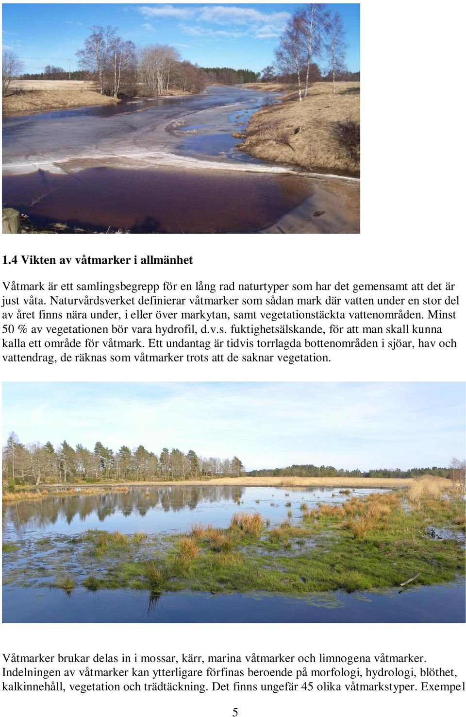 Minst 50 % av vegetationen bör vara hydrofil, d.v.s. fuktighetsälskande, för att man skall kunna kalla ett område för våtmark.