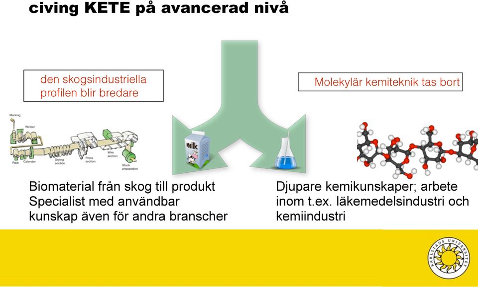 även för andra branscher Djupare kemikunskaper; arbete inom t.ex.