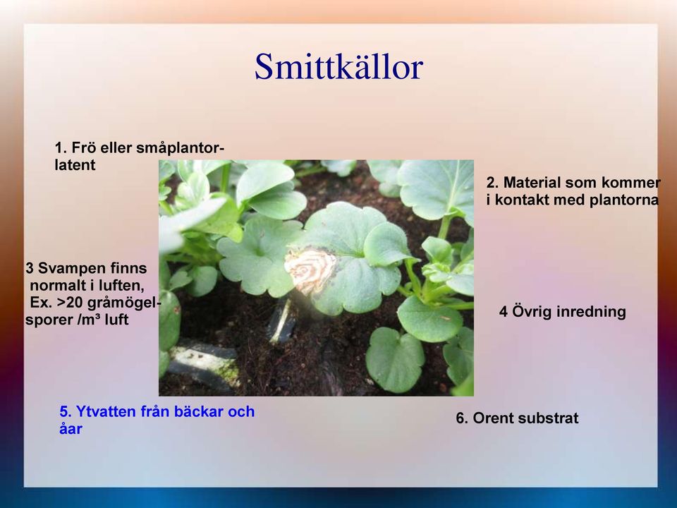 finns normalt i luften, Ex.