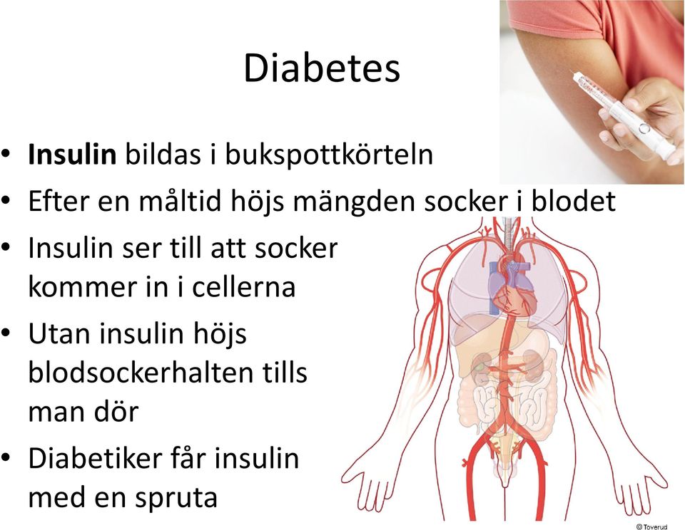 att socker kommer in i cellerna Utan insulin höjs