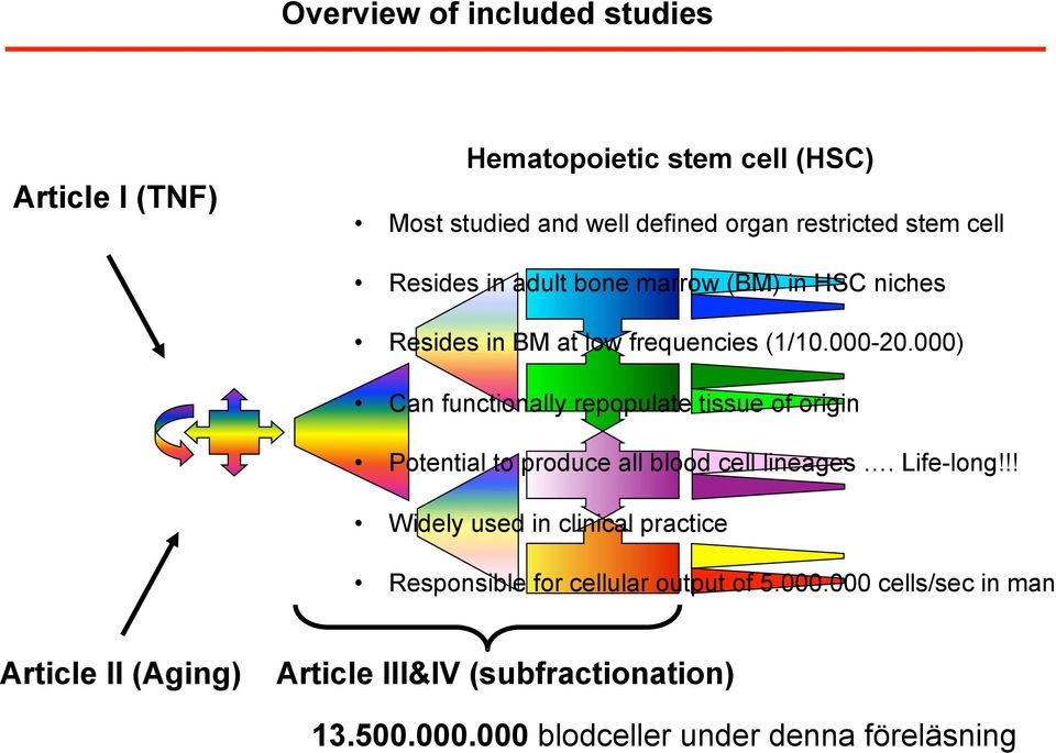 000) Can functionally repopulate tissue of origin Potential to produce all blood cell lineages. Life-long!