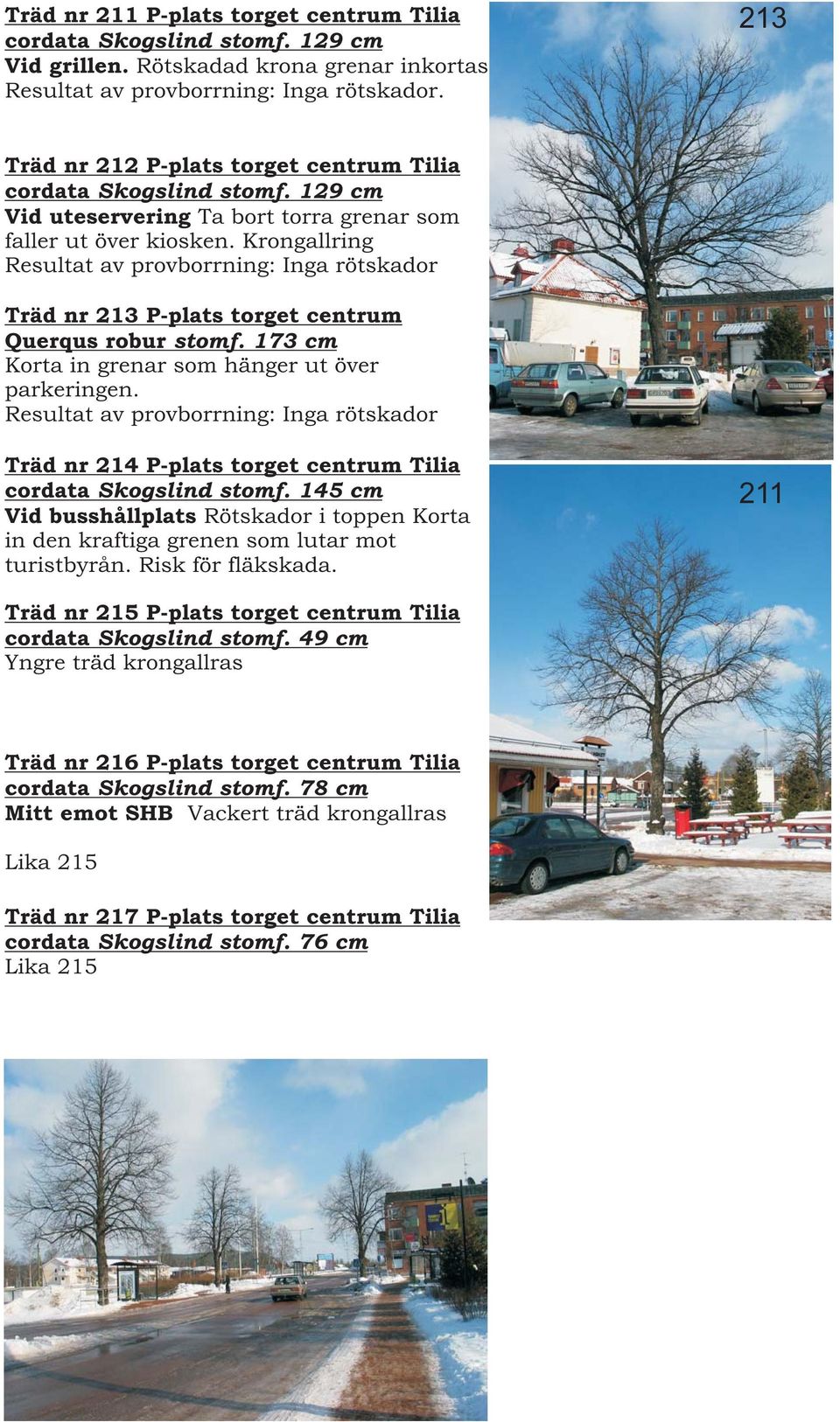 Krongallring Resultat av provborrning: Inga rötskador Träd nr 213 P-plats torget centrum Querqus robur stomf. 173 cm Korta in grenar som hänger ut över parkeringen.