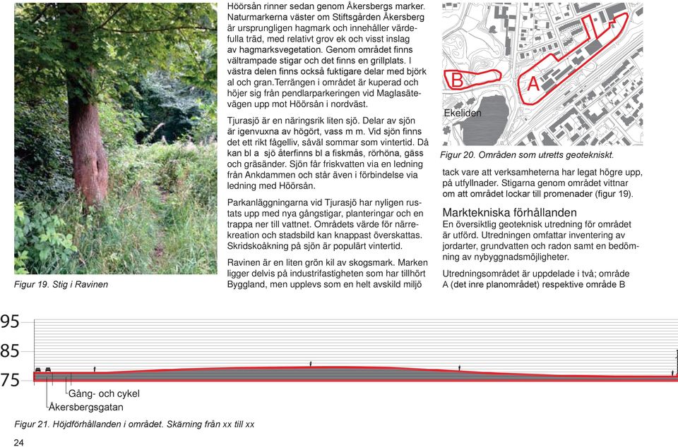 Delar av sjön det ett rikt fågelliv, såväl sommar som vintertid. Då och gräsänder. Sjön får friskvatten via en ledning från Ankdammen och står även i förbindelse via ledning med Höörsån.