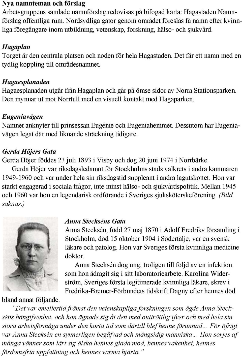 Hagaplan Torget är den centrala platsen och noden för hela Hagastaden. Det får ett namn med en tydlig koppling till områdesnamnet.