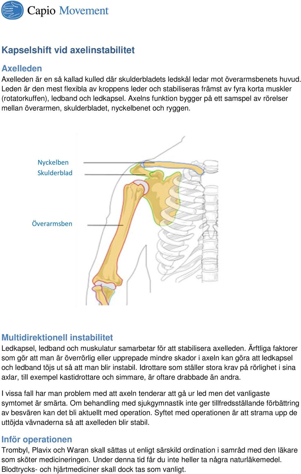 Axelns funktion bygger på ett samspel av rörelser mellan överarmen, skulderbladet, nyckelbenet och ryggen.