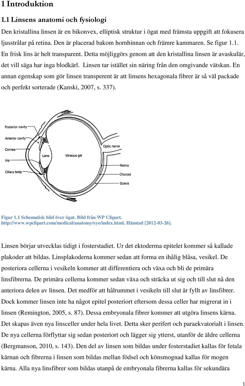 Linsen tar istället sin näring från den omgivande vätskan. En annan egenskap som gör linsen transperent är att linsens hexagonala fibrer är så väl packade och perfekt sorterade (Kanski, 2007, s. 337).