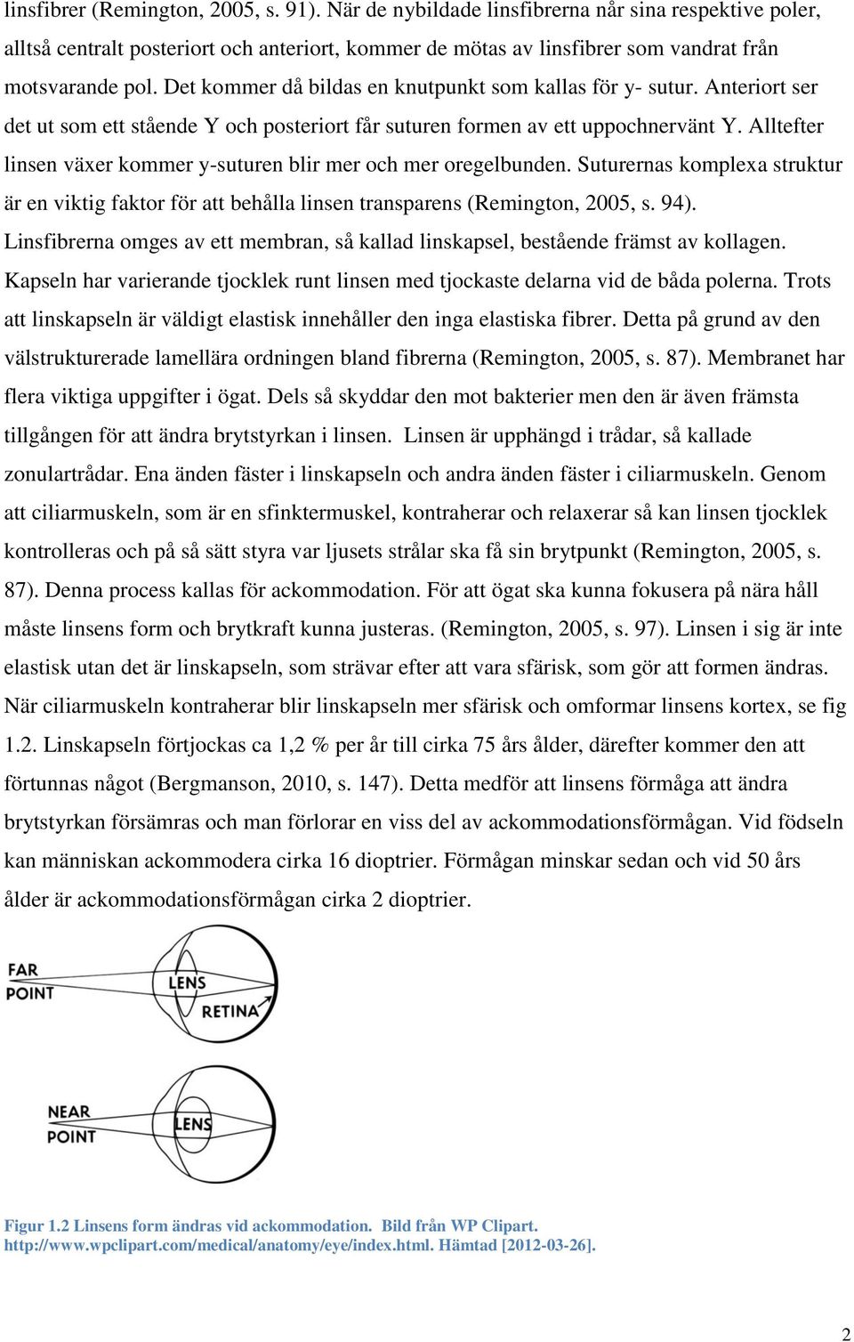 Alltefter linsen växer kommer y-suturen blir mer och mer oregelbunden. Suturernas komplexa struktur är en viktig faktor för att behålla linsen transparens (Remington, 2005, s. 94).