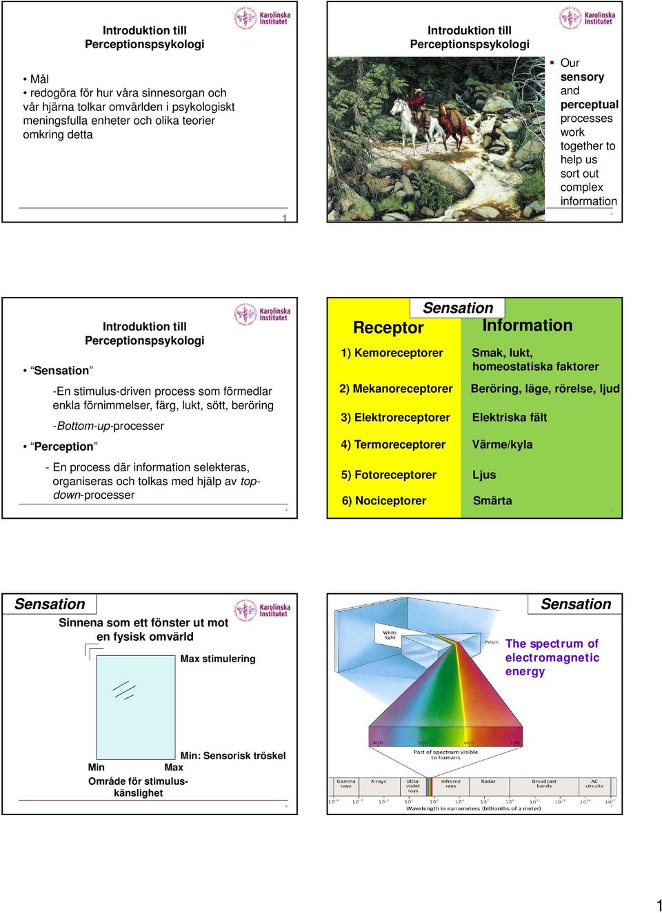 förmedlar enkla förnimmelser, färg, lukt, sött, beröring -Bottom-up-processer Perception - En process där information selekteras, organiseras och tolkas med hjälp av topdown-processer 4 Sensation