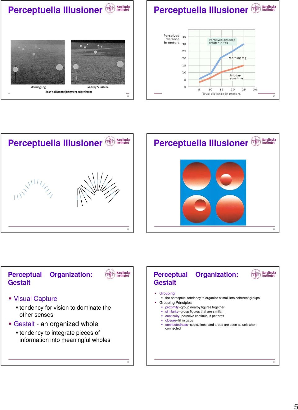 meaningful wholes Grouping the perceptual tendency to organize stimuli into coherent groups Grouping Principles proximity--group nearby figures together