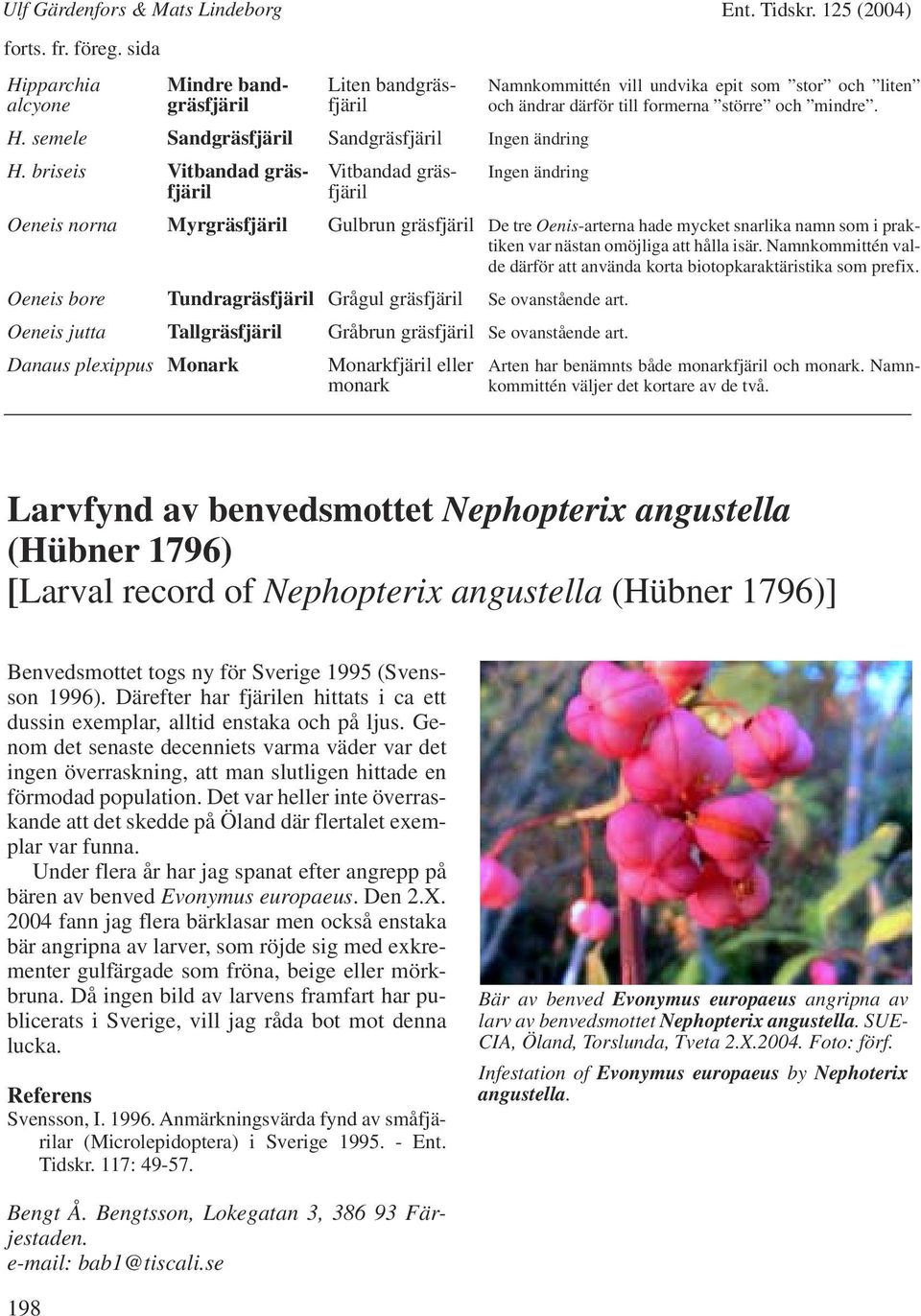 briseis Vitbandad gräsfjäril Vitbandad gräsfjäril Oeneis norna Myrgräsfjäril Gulbrun gräsfjäril De tre Oenis-arterna hade mycket snarlika namn som i praktiken var nästan omöjliga att hålla isär.