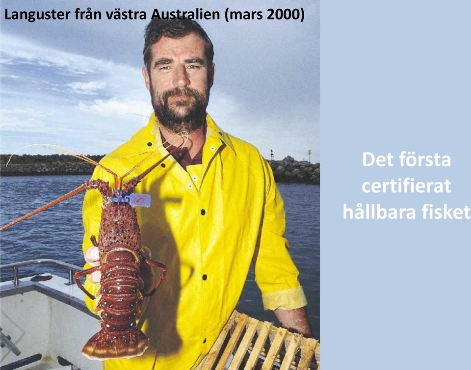 (mars 2000) Det