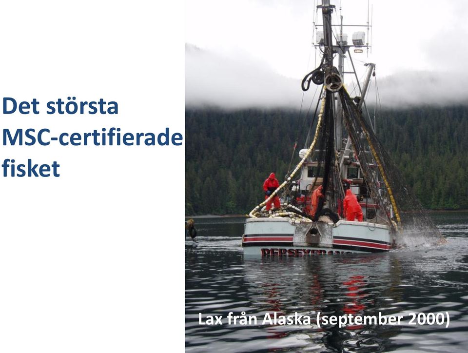fisket Lax från