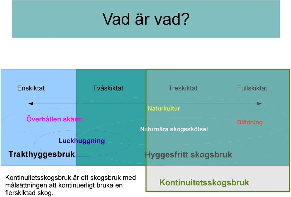 Trakthyggesbruk Luckhuggning Naturkultur Naturnära skogsskötsel