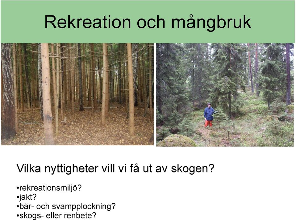 skogen? rekreationsmiljö? jakt?