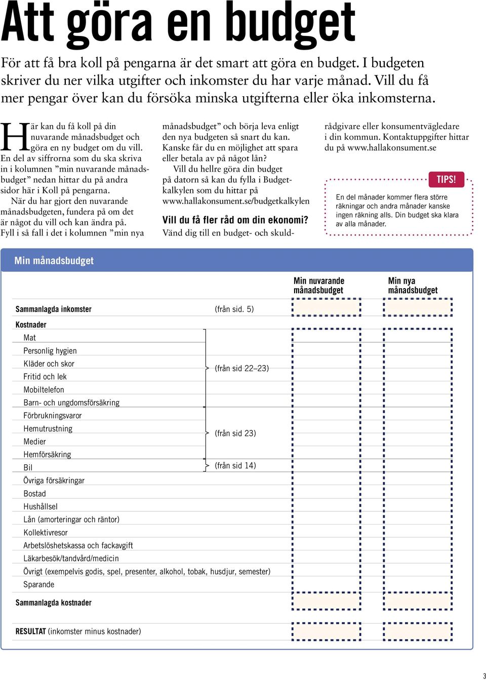 En del av siffrorna som du ska skriva in i kolumnen min nuvarande månadsbudget nedan hittar du på andra sidor här i Koll på pengarna.