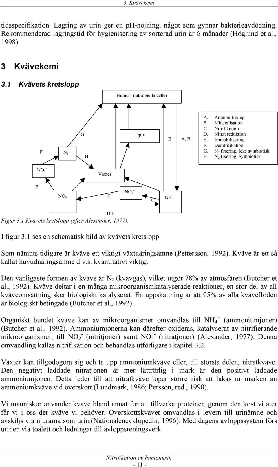 N 2 fixering. Icke symbiotisk. H. N 2 fixering. Symbiotisk. NO 2 - Växter F NO 3 - C NO 2 - C NH 4 + D,E Figur 3.1 Kvävets kretslopp (efter Alexander, 1977). I figur 3.